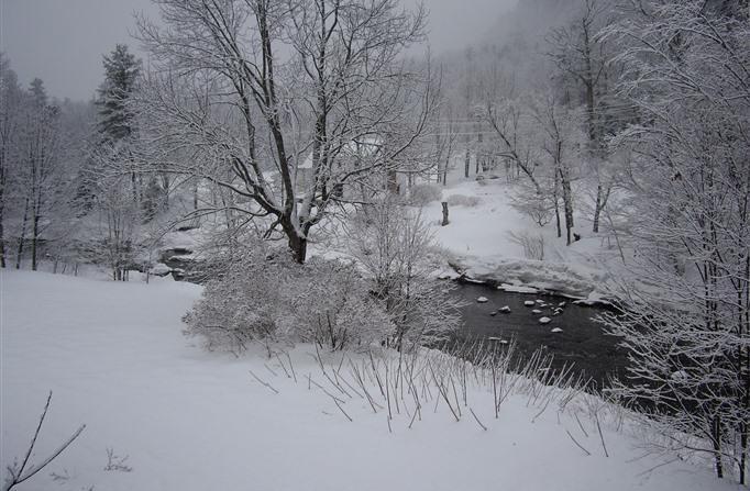 Inn At Ellis River Jackson Buitenkant foto